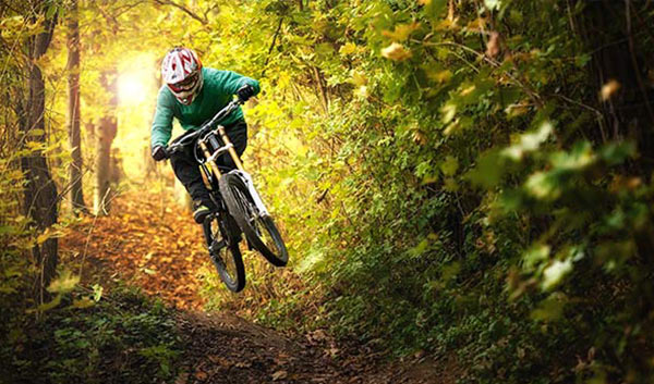 Mountainbiking im Renchtal